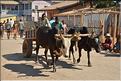 Dans les rues de Belo-sur-Tsiribihinia. (40)