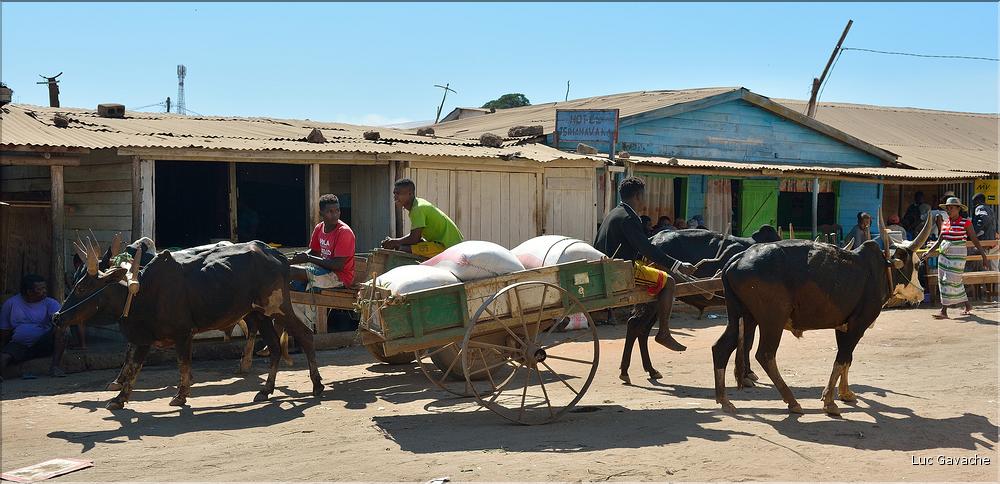 Dans les rues de Belo-sur-Tsiribihinia. (52)
