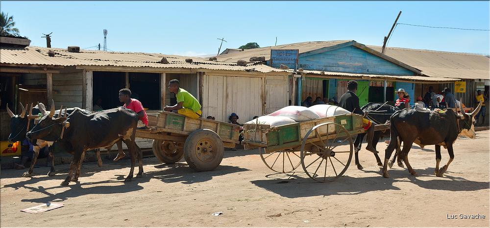 Dans les rues de Belo-sur-Tsiribihinia. (53)