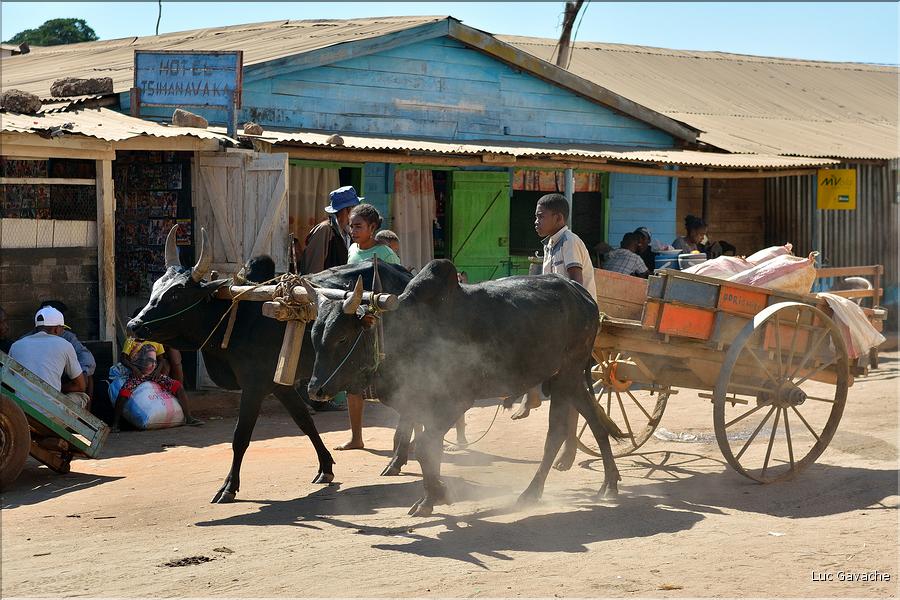 Dans les rues de Belo-sur-Tsiribihinia. (55)