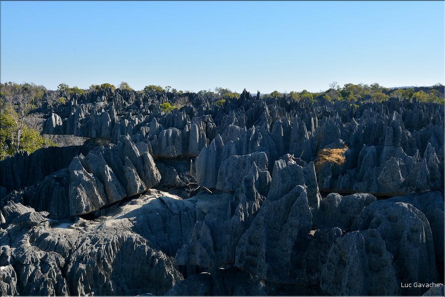 Les grands Tsingy de Bekopaka sont issus d'une formation calcaire de 200 millions d'années. (7)