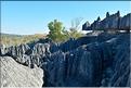 Les grands Tsingy de Bekopaka sont issus d'une formation calcaire de 200 millions d'années. (24)