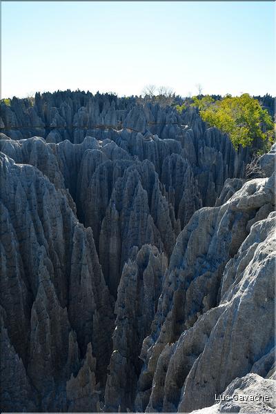 Les grands Tsingy de Bekopaka sont issus d'une formation calcaire de 200 millions d'années. (42)