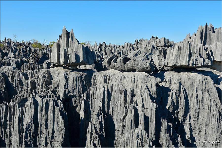 Les grands Tsingy de Bekopaka sont issus d'une formation calcaire de 200 millions d'années. (48)