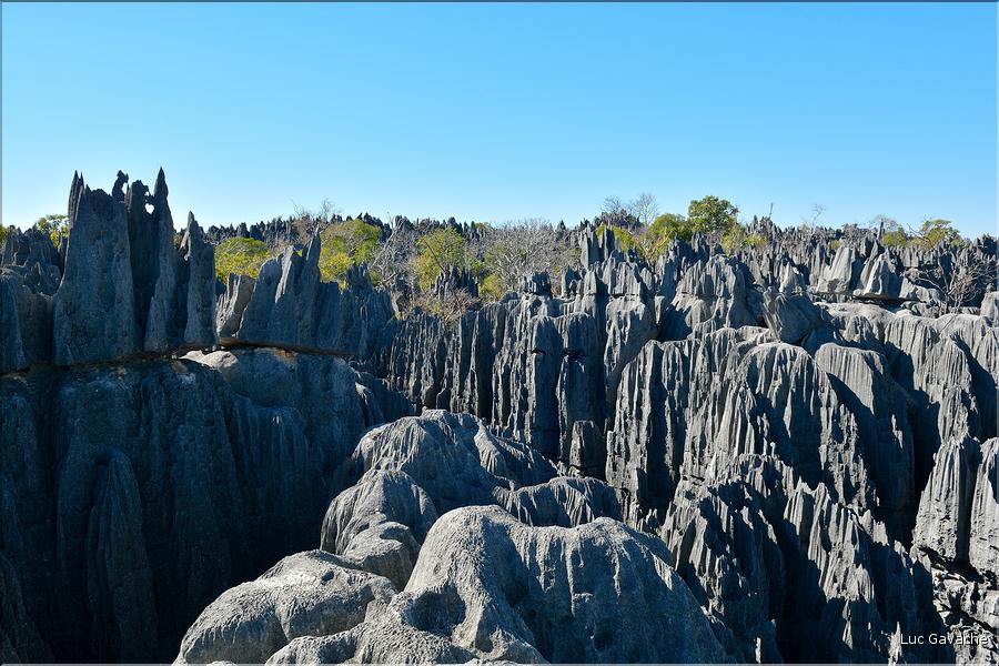 Les grands Tsingy de Bekopaka sont issus d'une formation calcaire de 200 millions d'années. (50)