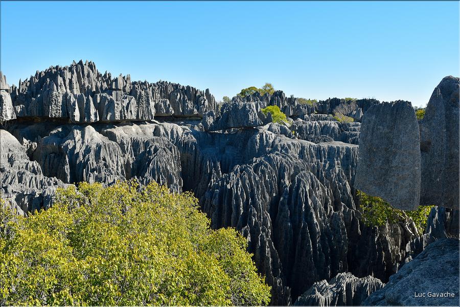 Les grands Tsingy de Bekopaka sont issus d'une formation calcaire de 200 millions d'années. (52)