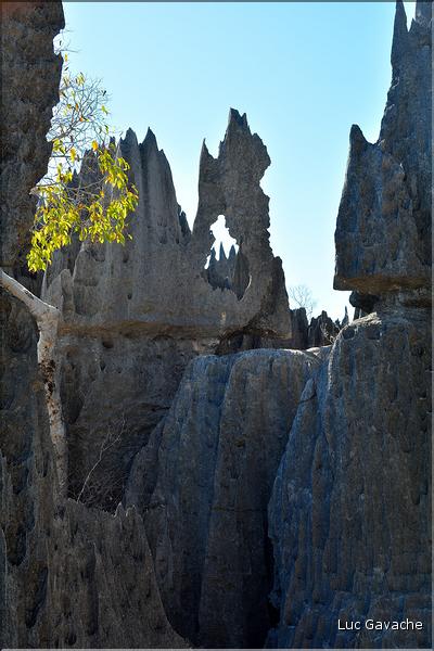 Les grands Tsingy de Bekopaka sont issus d'une formation calcaire de 200 millions d'années. (53)