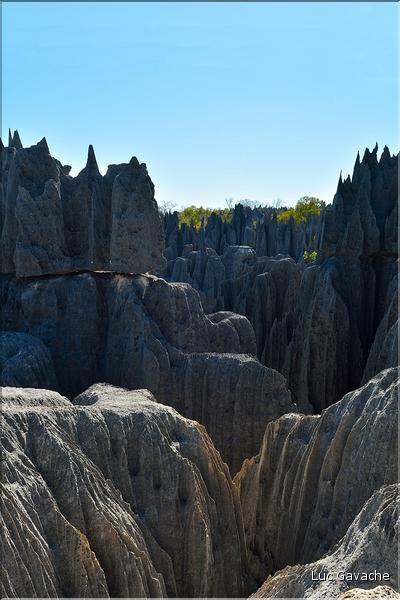 Les grands Tsingy de Bekopaka sont issus d'une formation calcaire de 200 millions d'années. (54)