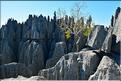 Les grands Tsingy de Bekopaka sont issus d'une formation calcaire de 200 millions d'années. (55)