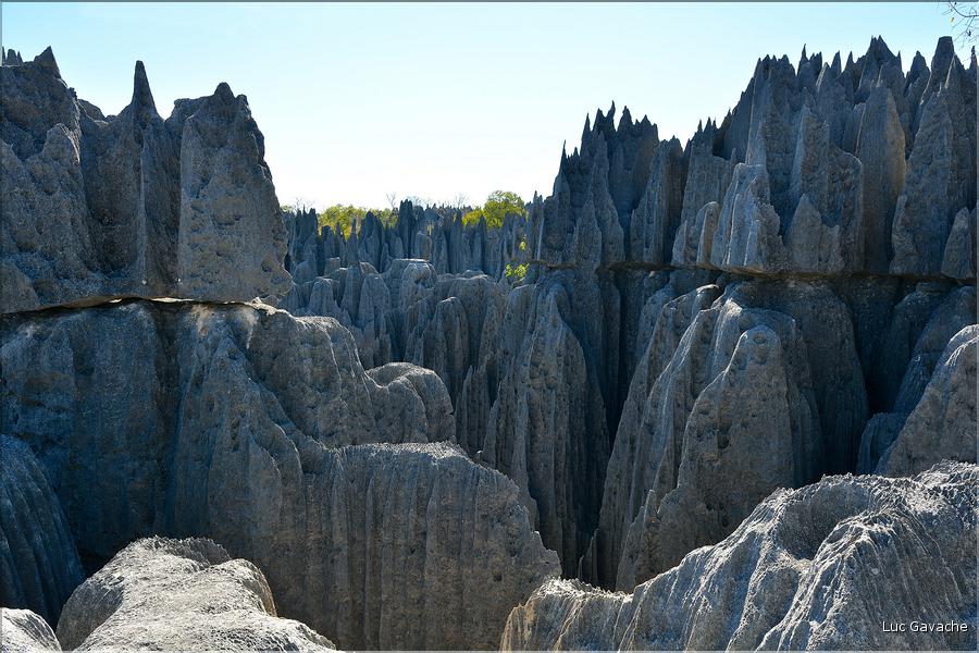 Les grands Tsingy de Bekopaka sont issus d'une formation calcaire de 200 millions d'années. (57)