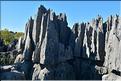 Les grands Tsingy de Bekopaka sont issus d'une formation calcaire de 200 millions d'années. (58)