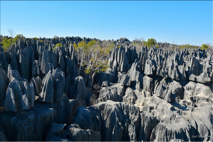 Les grands Tsingy de Bekopaka sont issus d'une formation calcaire de 200 millions d'années. (59)