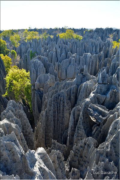Les grands Tsingy de Bekopaka sont issus d'une formation calcaire de 200 millions d'années. (61)