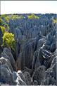 Les grands Tsingy de Bekopaka sont issus d'une formation calcaire de 200 millions d'années. (61)