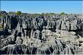 Les grands Tsingy de Bekopaka sont issus d'une formation calcaire de 200 millions d'années. (62)