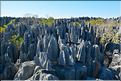 Les grands Tsingy de Bekopaka sont issus d'une formation calcaire de 200 millions d'années. (63)