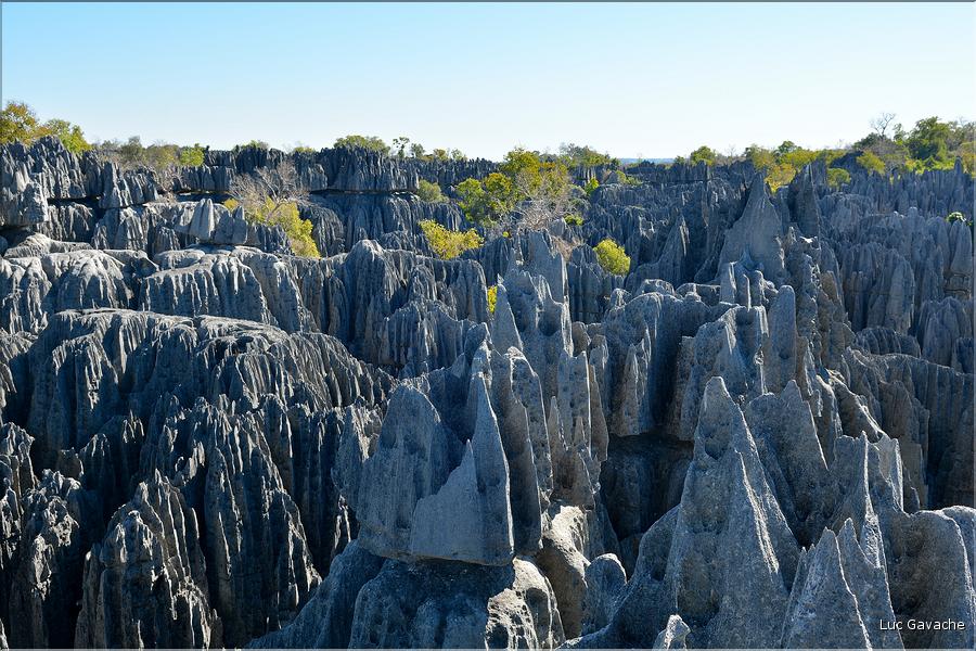 Les grands Tsingy de Bekopaka sont issus d'une formation calcaire de 200 millions d'années. (64)