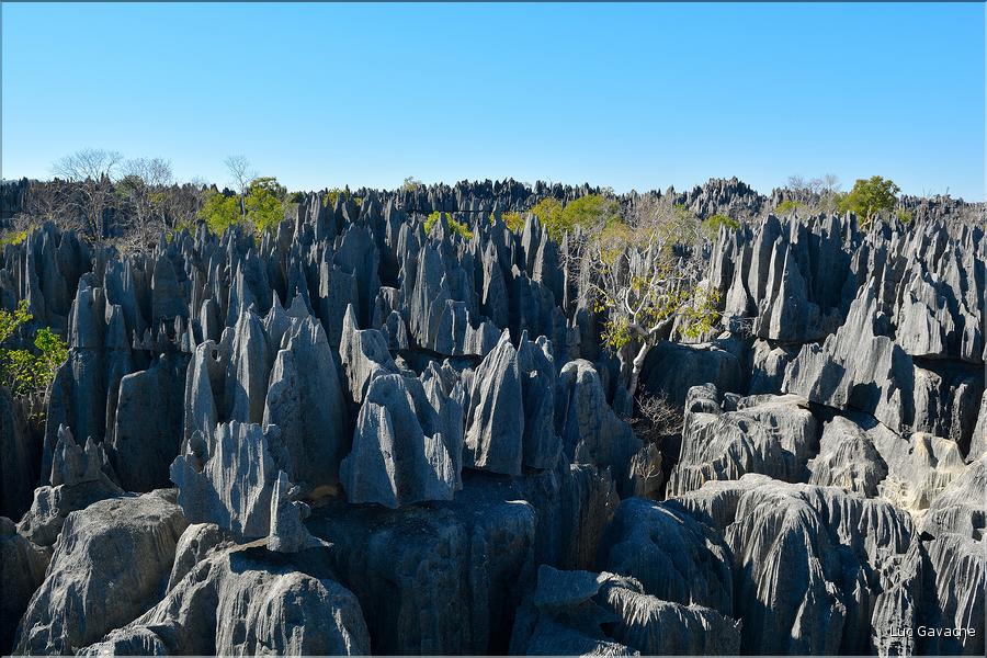 Les grands Tsingy de Bekopaka sont issus d'une formation calcaire de 200 millions d'années. (65)