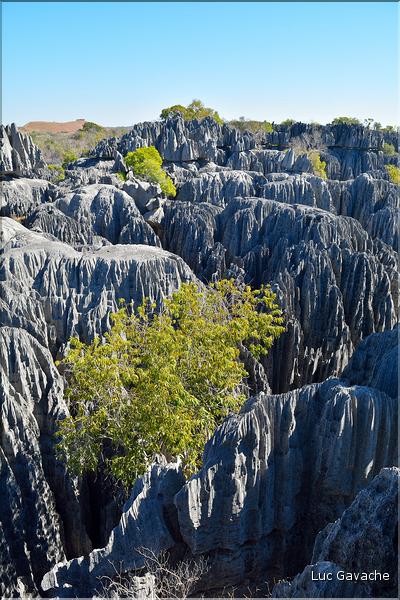 Les grands Tsingy de Bekopaka sont issus d'une formation calcaire de 200 millions d'années. (66)