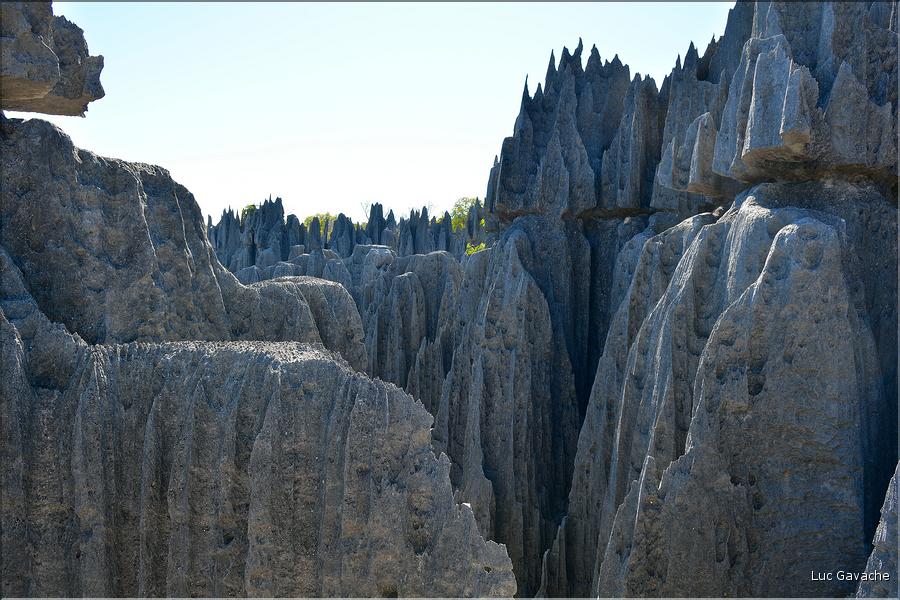 Les grands Tsingy de Bekopaka sont issus d'une formation calcaire de 200 millions d'années. (69)