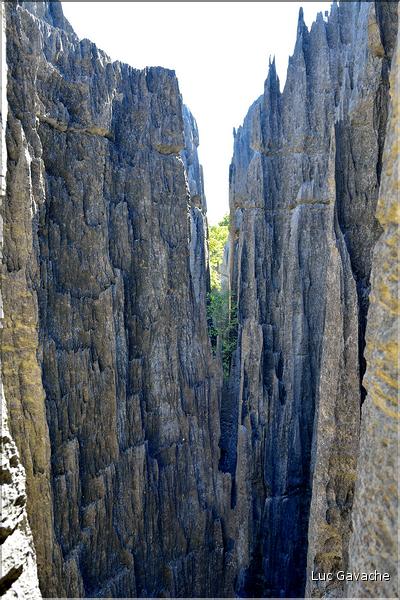 Les grands Tsingy de Bekopaka sont issus d'une formation calcaire de 200 millions d'années. (71)