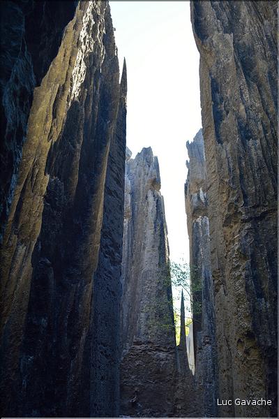 Les grands Tsingy de Bekopaka sont issus d'une formation calcaire de 200 millions d'années. (72)