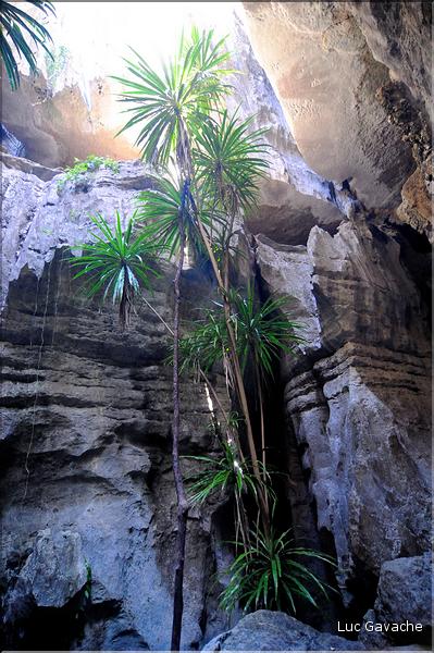 Les grands Tsingy de Bekopaka sont issus d'une formation calcaire de 200 millions d'années. (76)