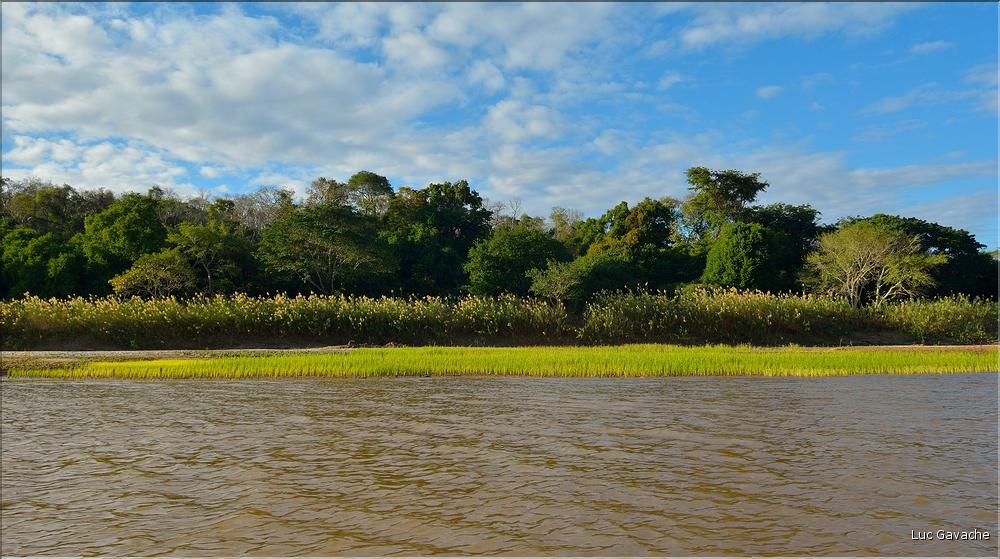 La rivière Manambolo coule à proximité des Tsingy. (11)