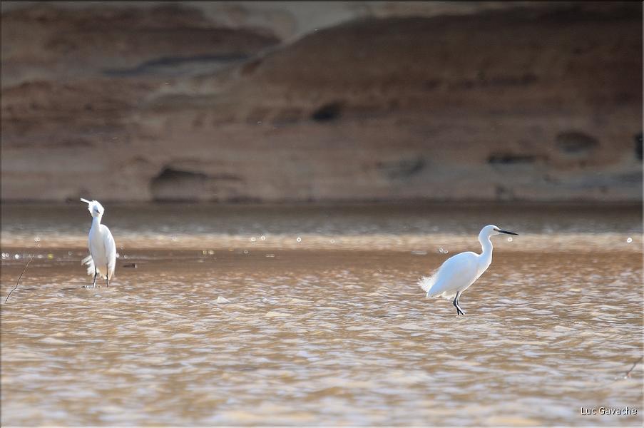 La rivière Manambolo coule à proximité des Tsingy. (15)