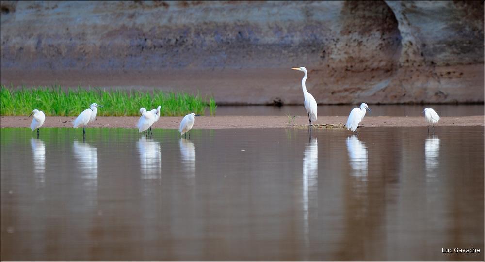 La rivière Manambolo coule à proximité des Tsingy. (46)