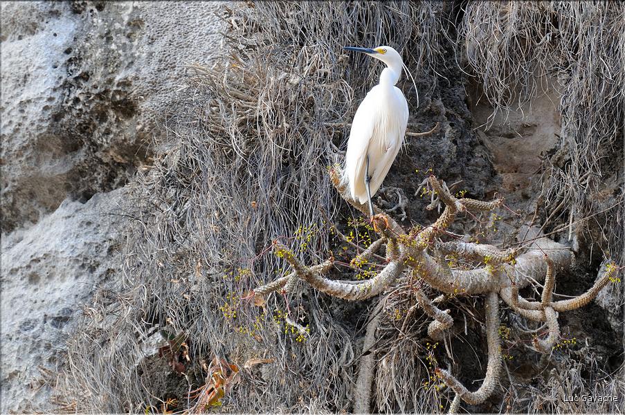 La rivière Manambolo coule à proximité des Tsingy. (47)