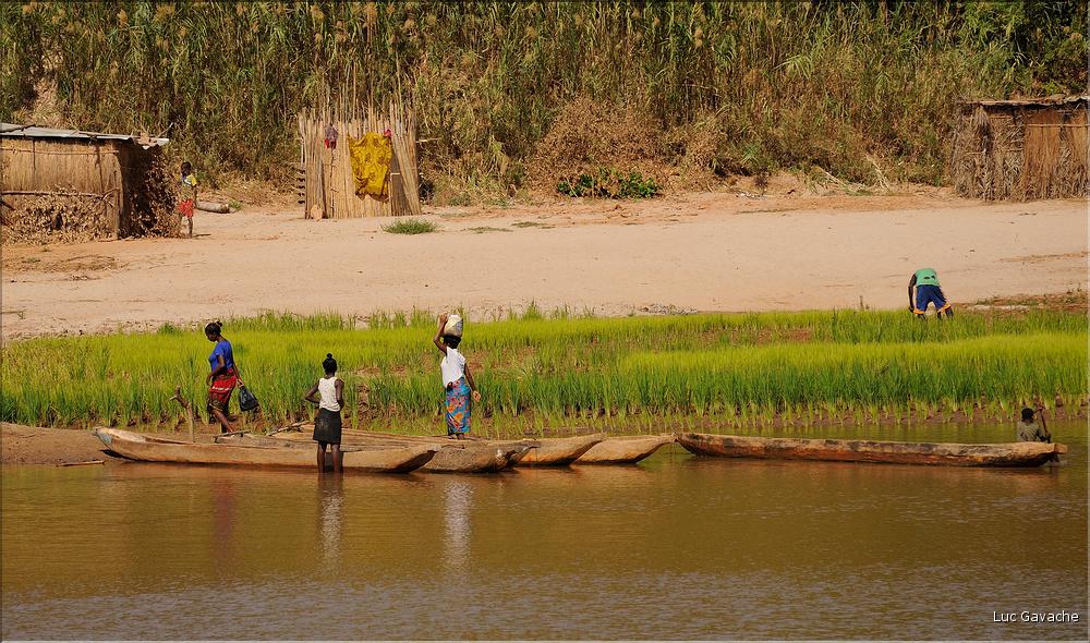 La rivière Manambolo coule à proximité des Tsingy. (70)