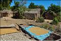 Petite village à côté de la rivière Manambolo. (9) Séchage du riz et du manioc.