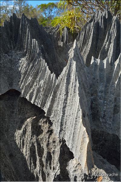 Les petits Tsingy de Bekopaka, comme les grands, ont été sculptés par l'érosion, notamment par les pluies. (7)