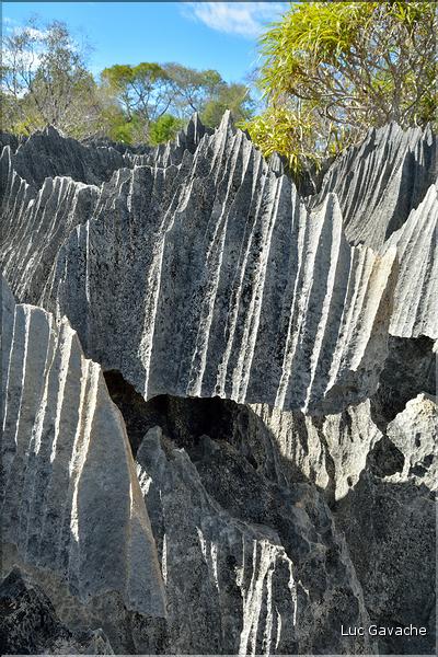 Les petits Tsingy de Bekopaka, comme les grands, ont été sculptés par l'érosion, notamment par les pluies. (10)