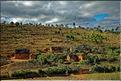Le long de la route entre Antananarivo et Antsirabe. (2)