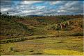 Le long de la route entre Antananarivo et Antsirabe. (3)