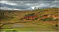 Le long de la route entre Antananarivo et Antsirabe. (5)