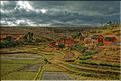 Le long de la route entre Antananarivo et Antsirabe. (6)