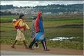 Le long de la route entre Antananarivo et Antsirabe. (13)