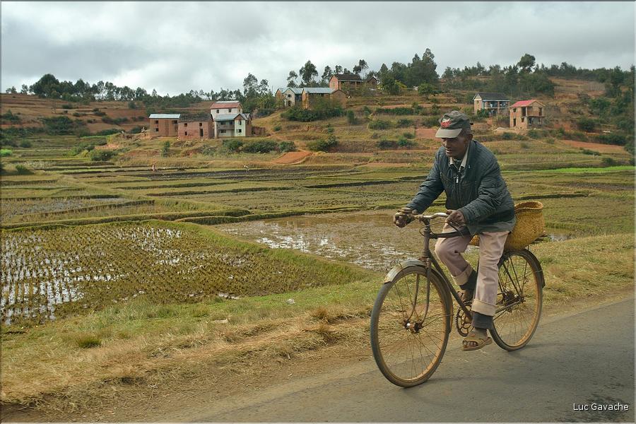Le long de la route entre Antananarivo et Antsirabe. (14)