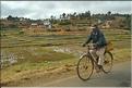Le long de la route entre Antananarivo et Antsirabe. (14)