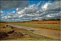 Le long de la route entre Antananarivo et Antsirabe. (15)