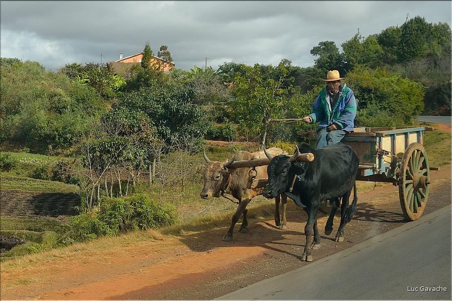 Le long de la route entre Antananarivo et Antsirabe. (22)