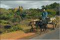 Le long de la route entre Antananarivo et Antsirabe. (22)