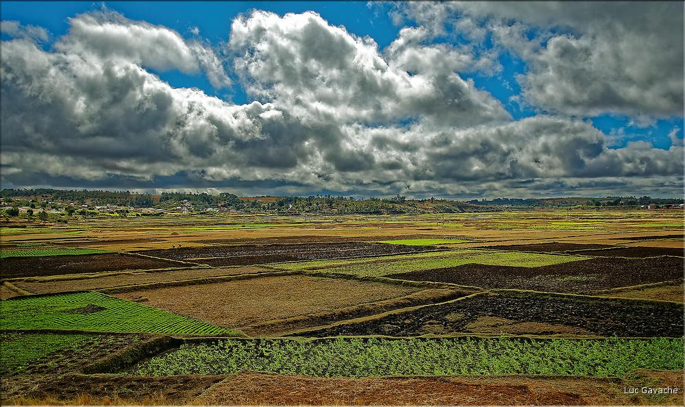 Le long de la route entre Antananarivo et Antsirabe. (25)