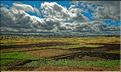Le long de la route entre Antananarivo et Antsirabe. (25)