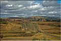 Le long de la route entre Antananarivo et Antsirabe. (26)