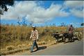 Le long de la route entre Antananarivo et Antsirabe. (35)