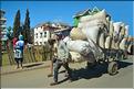 Le long de la route entre Antananarivo et Antsirabe. (41)
